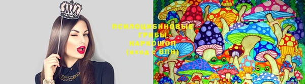 хмурый Алзамай