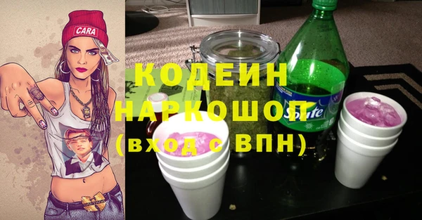 хмурый Алзамай