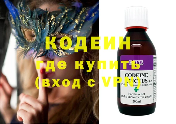 хмурый Алзамай